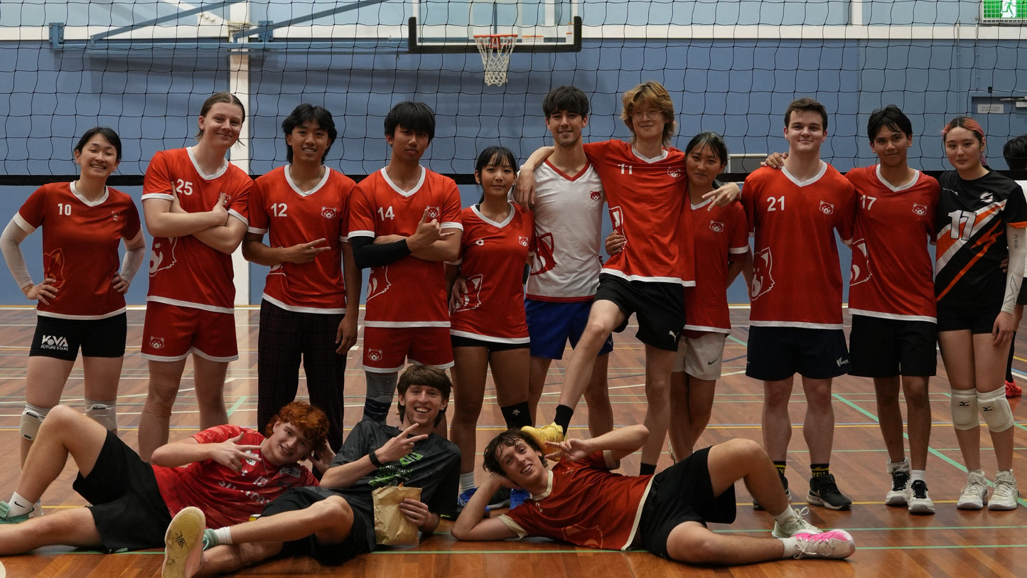 Team Ticket for Volleyball Social Games