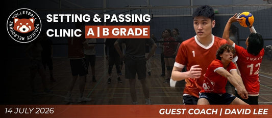 Setting & Passing Clinic with Coach David (A/B Grade)